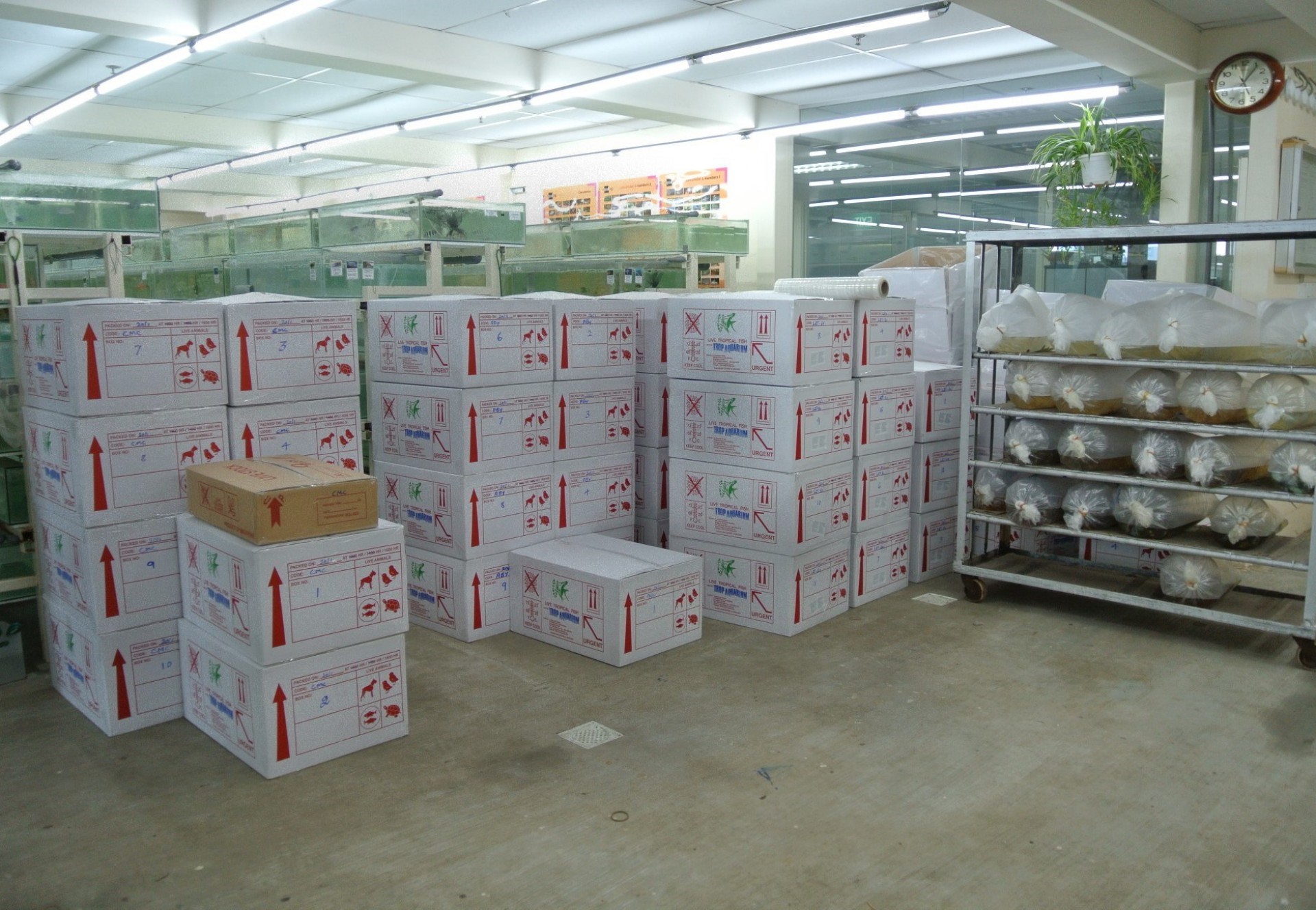 Worldwide Exporter/Wholesaler